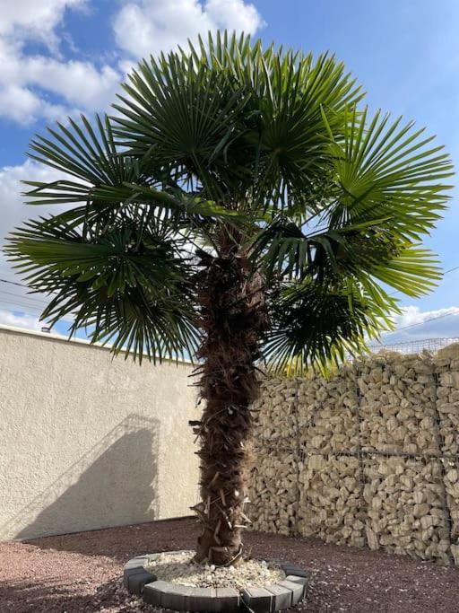 5 Min Airport Aeroport - Shuttle Navette - Parking Apartamento Bonlier Exterior foto